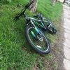 treezsx.mtb