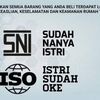 one.yes2