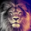 powerrrr92