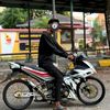 zulneedlcv1