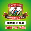 gomezkansasmasteringsolo