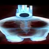 bonemeal690