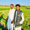 tk24tayyab