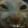 bequynh_8
