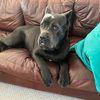 Ragnar