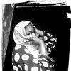 honey_drop008