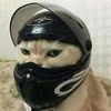 hn_nannnnnnn