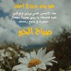 user1812751058884