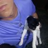 aj_14_5