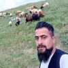 dlshadomar03