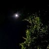 napominay_666