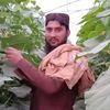 najeeb8190