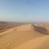 abuebarahimaltala3