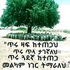 lebabaayalew