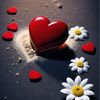 _menasiz_heyat_n