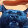un_gato_black