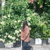 ainunt_10
