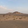 zd5ll