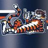 reed4auburntigers