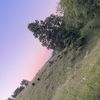 madison_837
