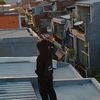 nyzzstecu_01