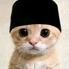 rafiehidayat6