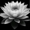 hoanglinh1798