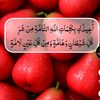 basrii91