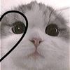 xxells26