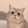 farida_b14