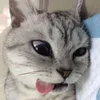 di_k3