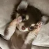 jakei_iu_anhsangaza