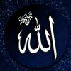 user026640516