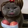 mew.owo_001