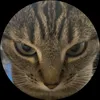 its.me_majed