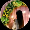 user8520452678010