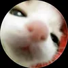 leche_calientita004
