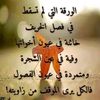 ahmdali67