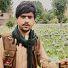 shakeelafridi138