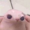 sweatynnugget