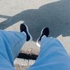 _2danyy2_