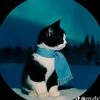 story_gamesandcars194