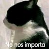 tilininsanos0