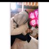 user962089372131