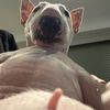 hablamosnunca04