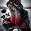 hong_quan13208
