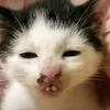 siudangiuo.o