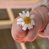 kim_lina_2024