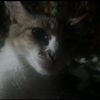 junior_16257