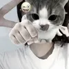 haneily10.04